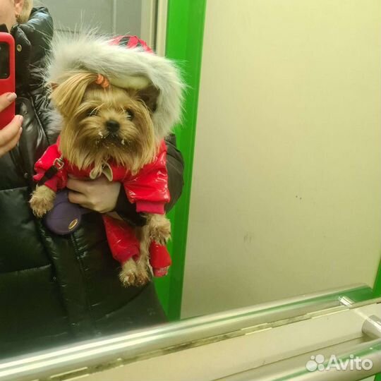 Комбенизон зимний xl