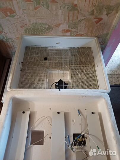 Инкубатор для яиц автоматический бу