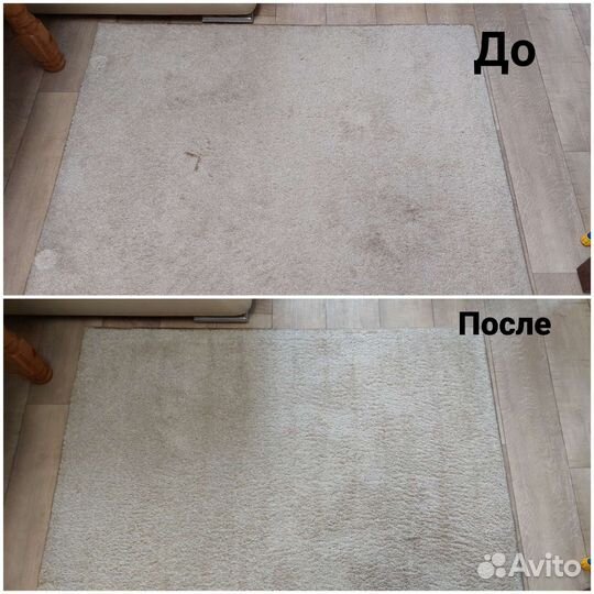 Аренда моющего пылесоса Karcher