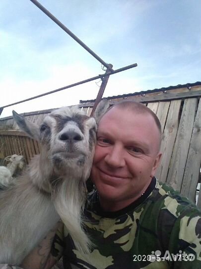 Козье молоко, сыр, доставка