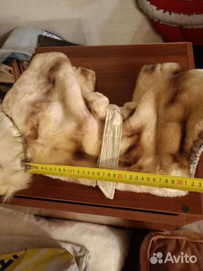 Одежда для средних собак