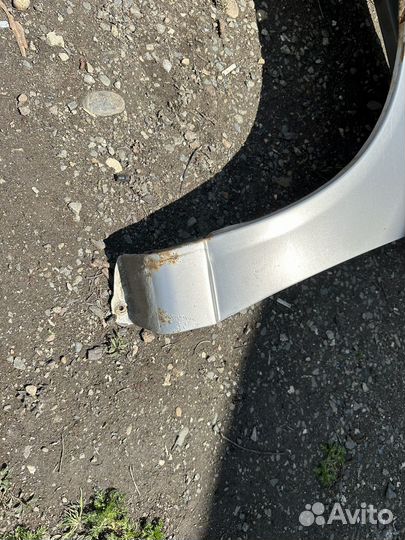 Крылья калина передние