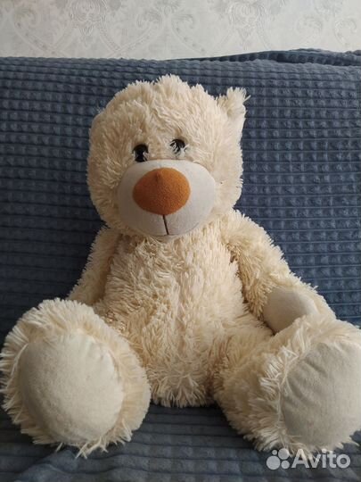 Медведь мишка