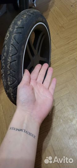 Коляска прогулочная luna