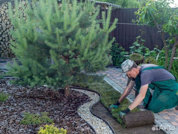 Укладка рулонного газона