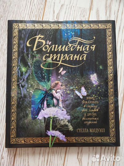 Книга Волшебная страна про фей