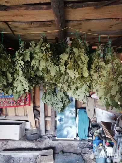 Веники дубовые