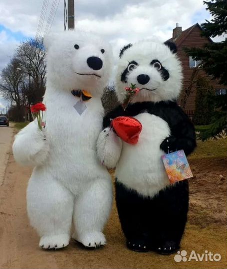 Белый мишка Панда поздравление аниматор ростовая