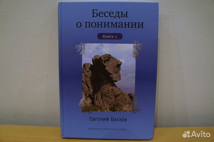 Евгений Багаев Новые книги