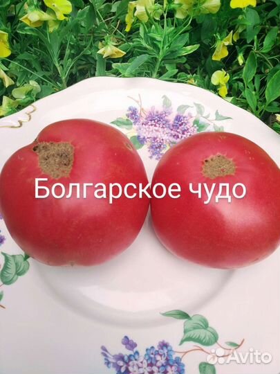 Вишневый от Zuzi сортов много