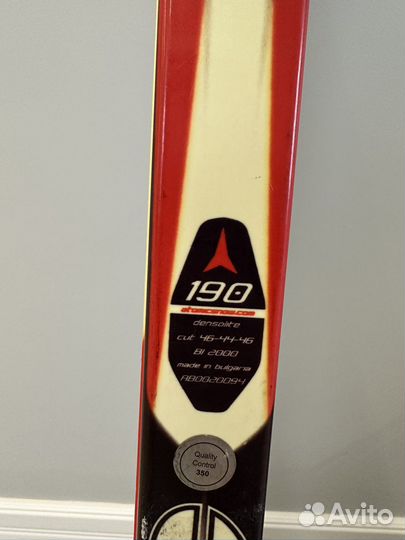 Беговые лыжи