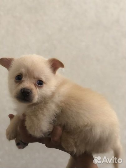 Милые малыши