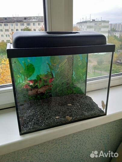 Аквариум