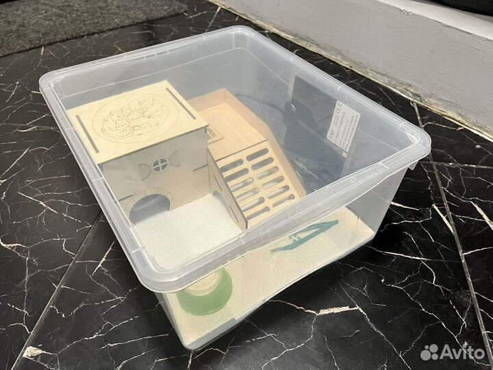 Набор для содержания эублефара