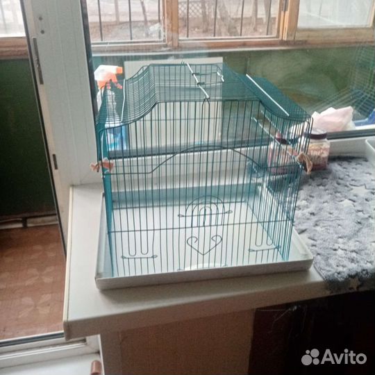 Клетка для крыс