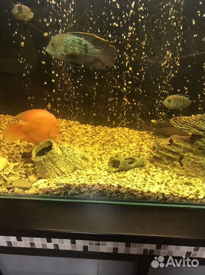 Аквариумный грунт