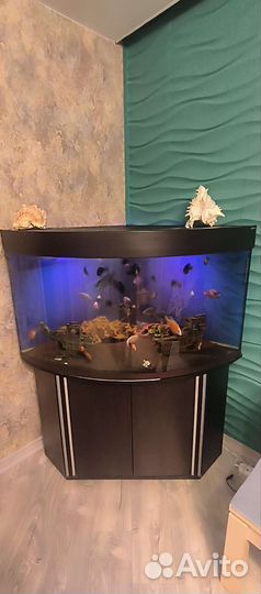 Аквариум aquael 350L