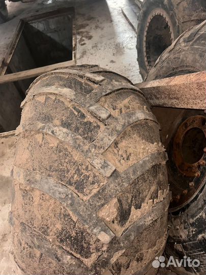 Шины ободрыши