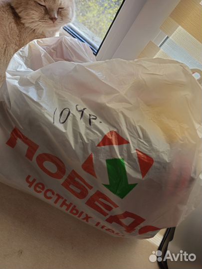 Вещи пакетом на девочку 98 104
