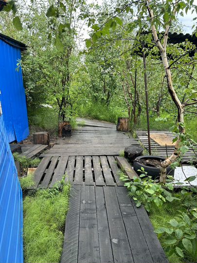 Дача 20 м² на участке 5 сот.