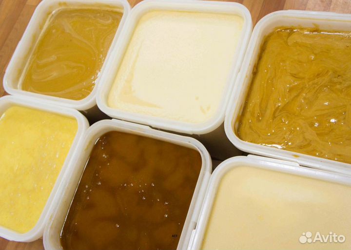 2024 Мед натуральный алтайский опт