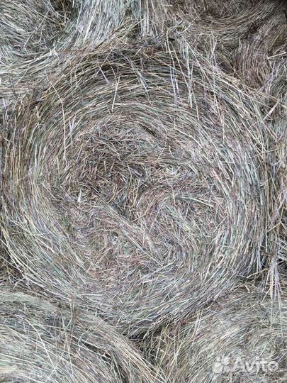 Сено с доставкой