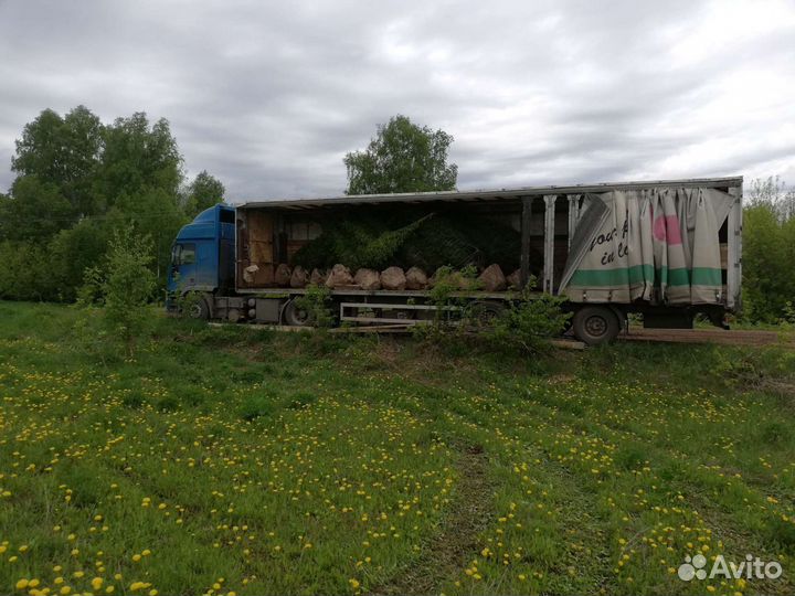 Грузоперевозки