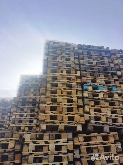 Поддоны Видное