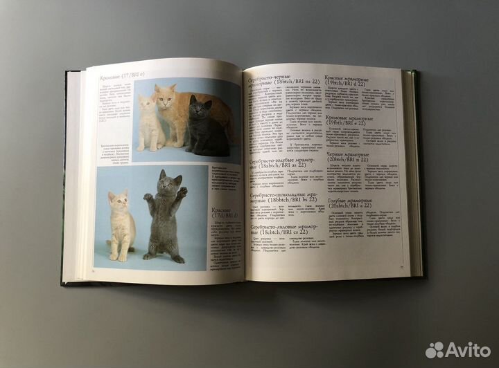 Бербель Гербер Кошки. Повадки. Уход. Разведение