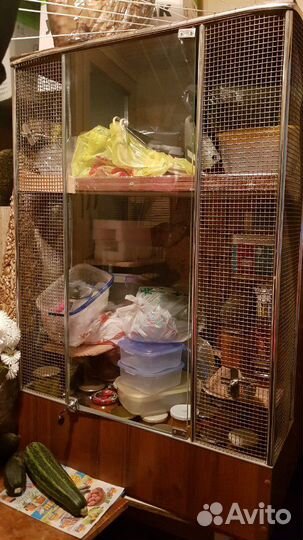Витрина для шиншилл (клетка)