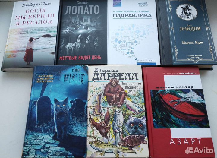 Новые книги