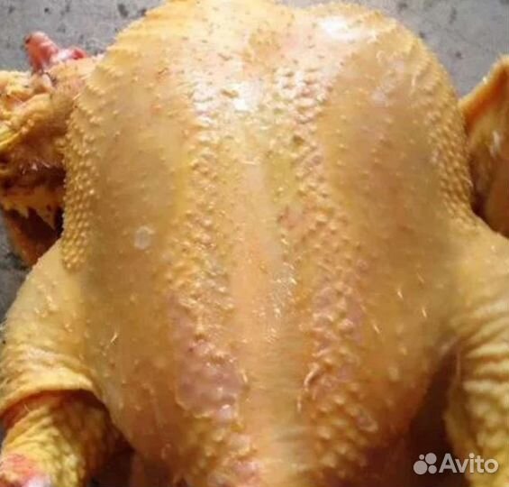 Тушки кур домашних халяль