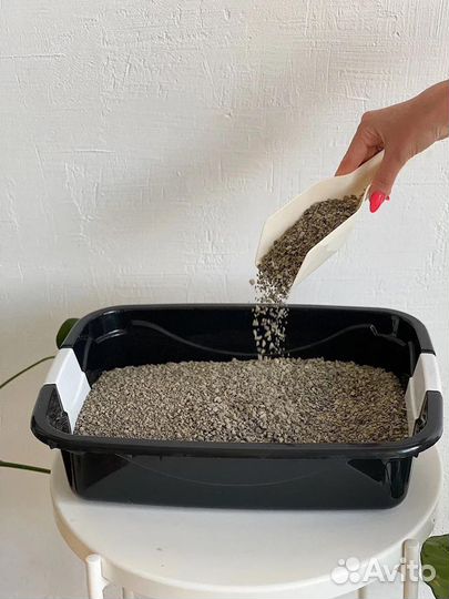 Наполнитель для кошачьего туалета