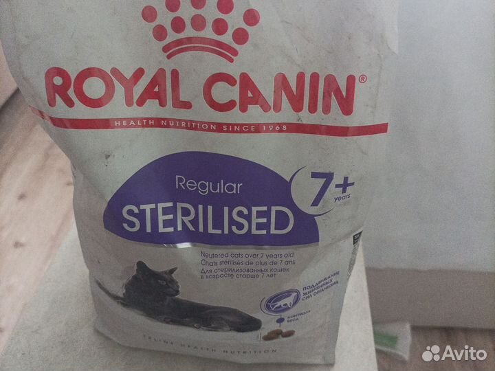 Корм для кошки роял канин