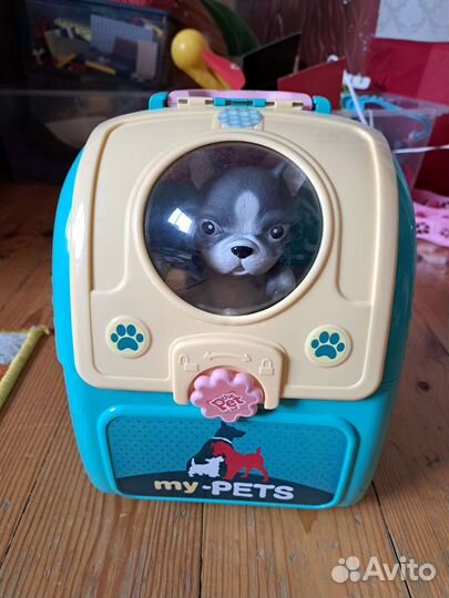 Питомец в рюкзаке