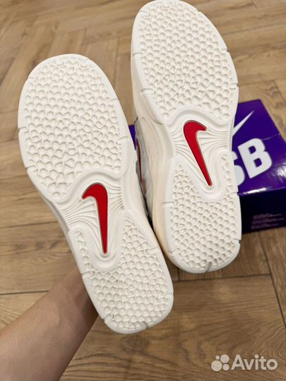 Кроссовки Nike sb vertebrae