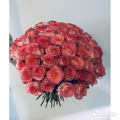 Розы (эквадор)