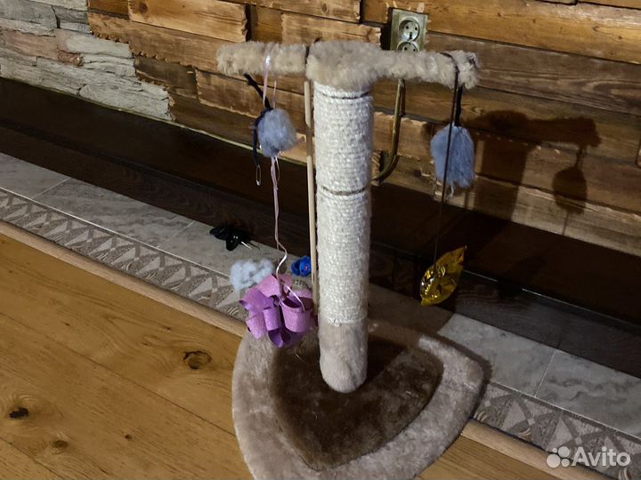Когтеточка для кошек