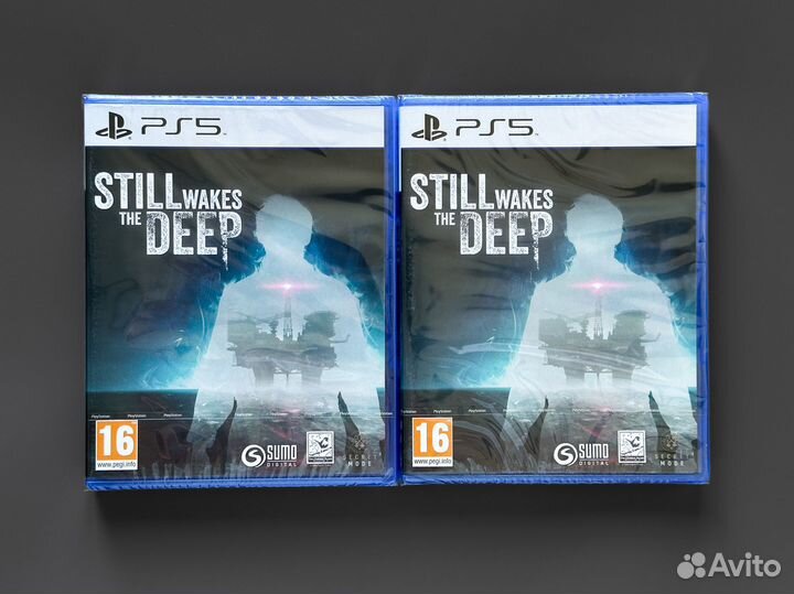 Still Wakes The Deep (PS5)
