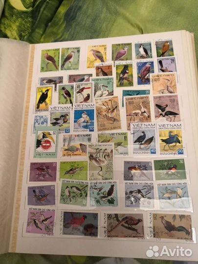 Почтовые марки серии фауна