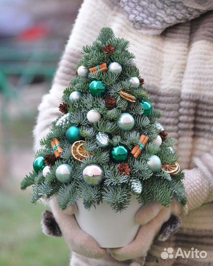 Новогодние композиции из нобилиса