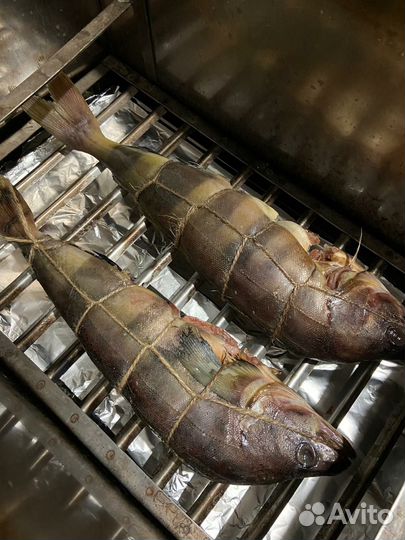 Вкусная рыба горячего копчения