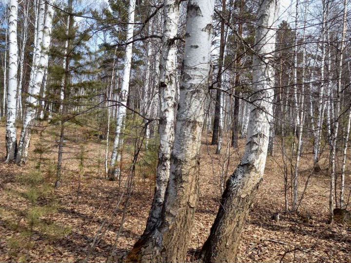 Дом 30 м² на участке 6 сот.