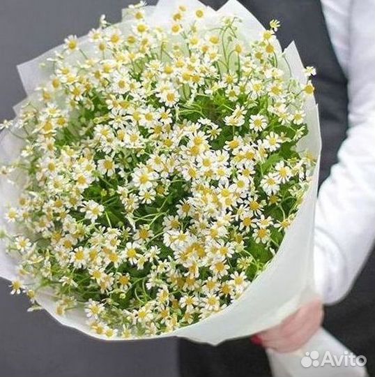 Ромашки Пионы Розы Доставка