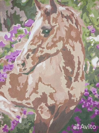 Картина по номерам Лошадка