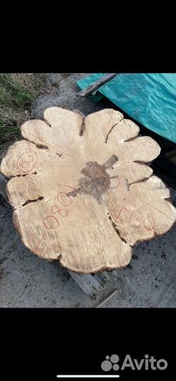 Ясень торцевые спилы