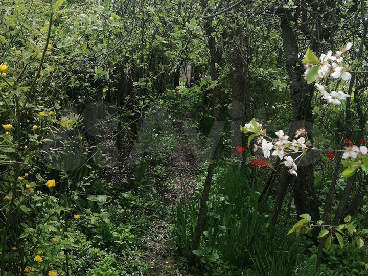 Дом 30 м² на участке 4,5 сот.