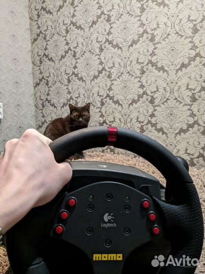 Logitech momo racing