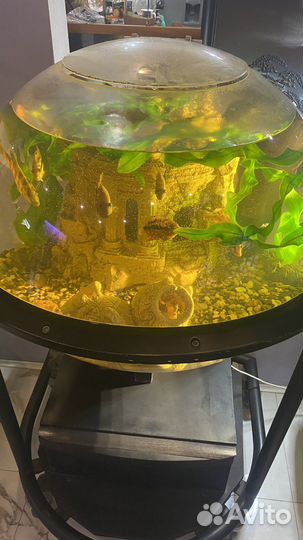 Аквариум с тумбой