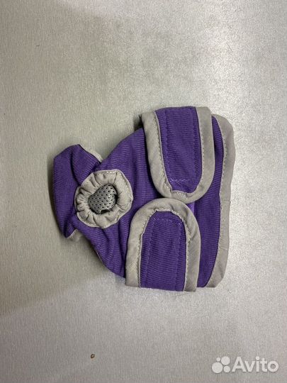 Трусы для собак